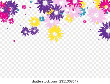 Yellow Daisy Background Transparent Vector. Floral Simple Design. Multi-colored Gerbera Factory. Festive Template. Art Bright Chamomile.