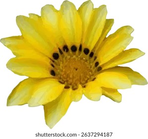 yellow daisy and blooming design18
