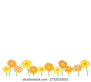 Material de fondo de flor de margarita amarilla. Ilustración vectorial.