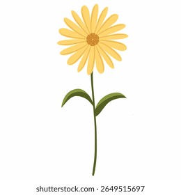 gelbe Gänseblümchen, gelbe Blume, Vektorgrafik, Frühlingsblumen