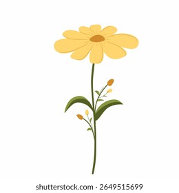 yellow daisy flower,yellow flower vector illustration,spring flowers