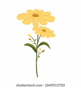 yellow daisy flower,yellow flower vector illustration,spring flowers