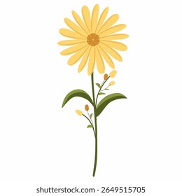 yellow daisy flower,yellow flower vector illustration,spring flowers