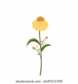 gelbe Gänseblümchen, gelbe Blume, Vektorgrafik, Frühlingsblumen