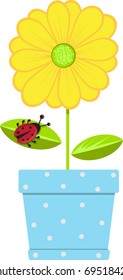 yellow daisy with ladybug