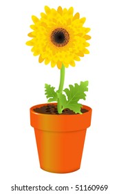 Yellow Daisy In Pot, Isolated On White