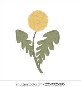 Yellow dandelion hand drawn flower. Postcard adorable decor element. Vector image. Cute flower sticker.