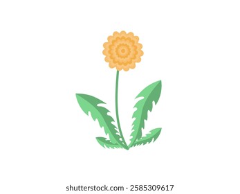 Yellow dandelion isolated on white background. Flat vector illustration