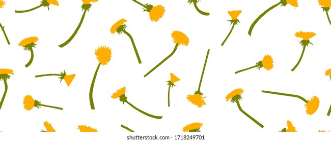 Yellow dandelions flowers, seamless pattern. Vector illustration.