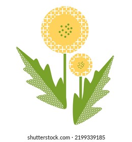 Los dientes de león amarillos en los tallos. Flor silvestre floreciente Taraxacum con hojas. Moderno estilo abstracto y minimalista. Ilustración del vector plano botánico aislada sobre un fondo blanco. Excelente como elemento de diseño.