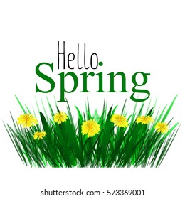 Yellow dandelions tsety. Spring sun illustration
