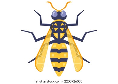 yellow dangerous wasp top view. flat vector illustration.