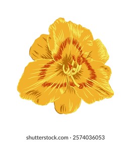 yellow daylilly flower for children book design, a simple flat vector design