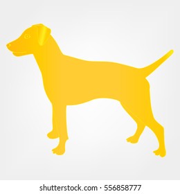 yellow dog