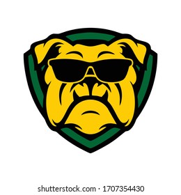 Yellow Dog Bulldog with sunglasses