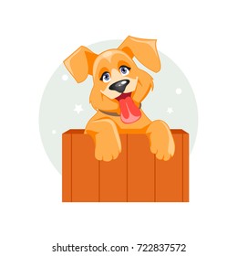 Yellow dog. Chinese symbol of new year. Vector illustration