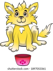 Yellow dog with plate, puppy dog