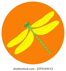 Yellow dragonfly placed on orange circle. Vector illustration.
