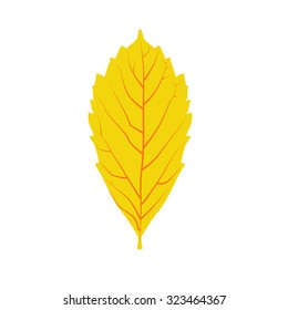 yellow dry leaf symbol. Autumn leaf icon