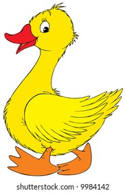 Yellow duck