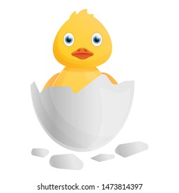 Yellow duck from eggshell icon. Cartoon of yellow duck from eggshell vector icon for web design isolated on white background
