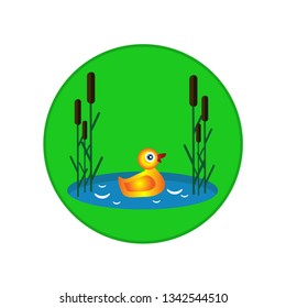 Yellow duck on a lake with reeds green background