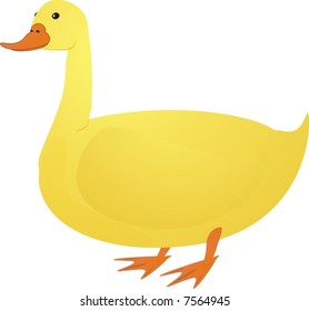 yellow duck on white (vector illustration)
