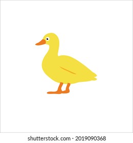 yellow duck pitiful and sosad 