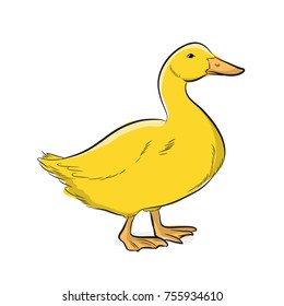 15,150 Duck sketch image Images, Stock Photos & Vectors | Shutterstock