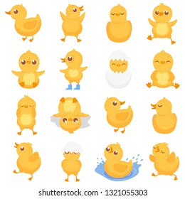 Yellow duckling. Cute duck chick, little ducks and ducky baby. Newborn duck, egg hatching chicks or gosling farm duckling character different emotion. Isolated cartoon vector illustration icons set