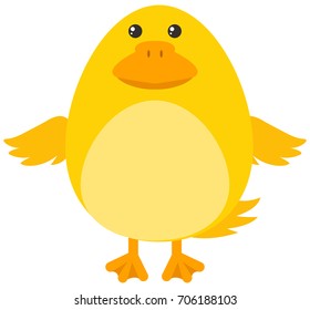 Yellow duckling on white background illustration