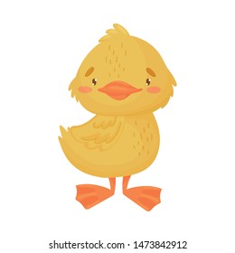 Yellow duckling is standing. Vector illustration on a white background.