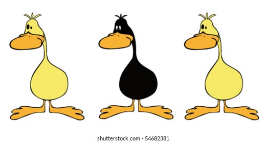 Yellow ducks group with one black.