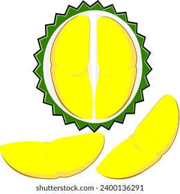 Yellow durian, cut in half, Thai fruit, king of Thai fruits, Fruit illustration vector