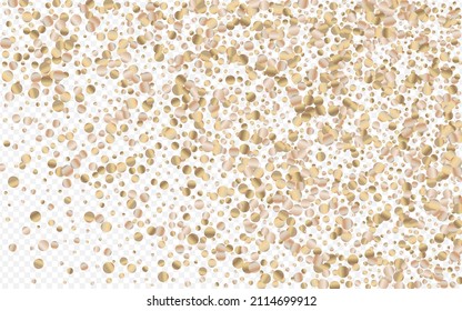 Yellow Dust Transparent Transparent Background. Bridal Circle Card. Bronze Round Paper Texture. Splash Holiday Illustration.