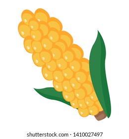 Yellow ear of corn on a white background. Vector illustration in cartoon style.