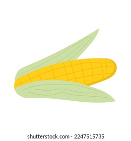 Yellow ear of corn on white background. Vector cartoon illustration.Vector isolated icon.