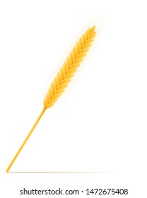 yellow ears of ripe wheat spikelet vector illustration isolated on white background