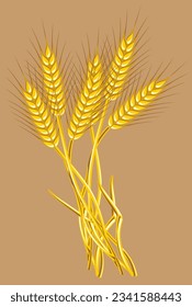 orejas amarillas de trigo con granos