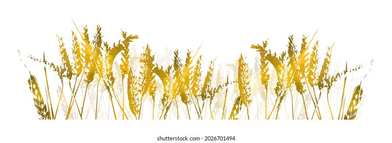 Yellow ears of wheat. Vector illustration