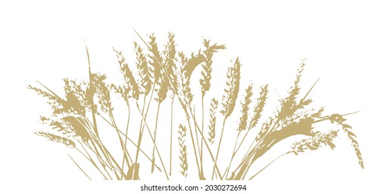 Años amarillos de trigo. Ilustración del vector