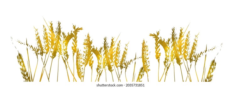 Yellow ears of wheat. Vector illustration