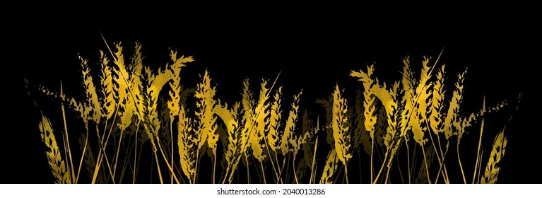 Yellow ears of wheat. Vector illustration