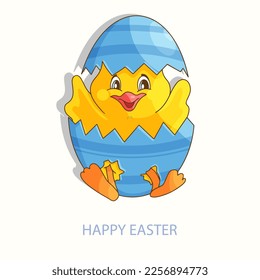 Yellow Easter chicken baby in cracked egg, chick born from egg. 