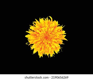 Icono de la flor elegante amarilla