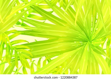 Yellow exotic pattern. Monstera and hibiscus flowers tropical bouquet.  Hawaiian t-shirt and swimwear tile.  Horizontal romantic wild vector exotic tile. Hypernatural botanic design.