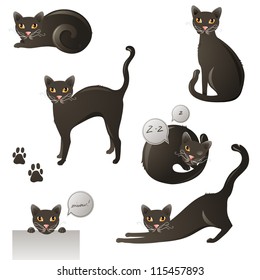 Yellow - eyed black cat in 6 poses