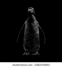 yellow eyed penguin hand drawing vector isolated on black background.