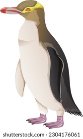 Yellow Eyed Penguin on White Background illustration