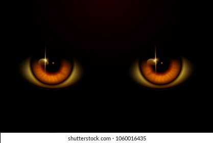 Yellow Eyes. Eyes in the Night